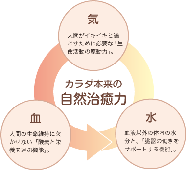 名古屋市港区にある、鍼灸、マッサージ、美容鍼灸、美顔鍼、訪問マッサージ、スポーツ鍼灸など、症状に合わせた施術が特徴のほがら鍼灸マッサージの治癒に対する考え方